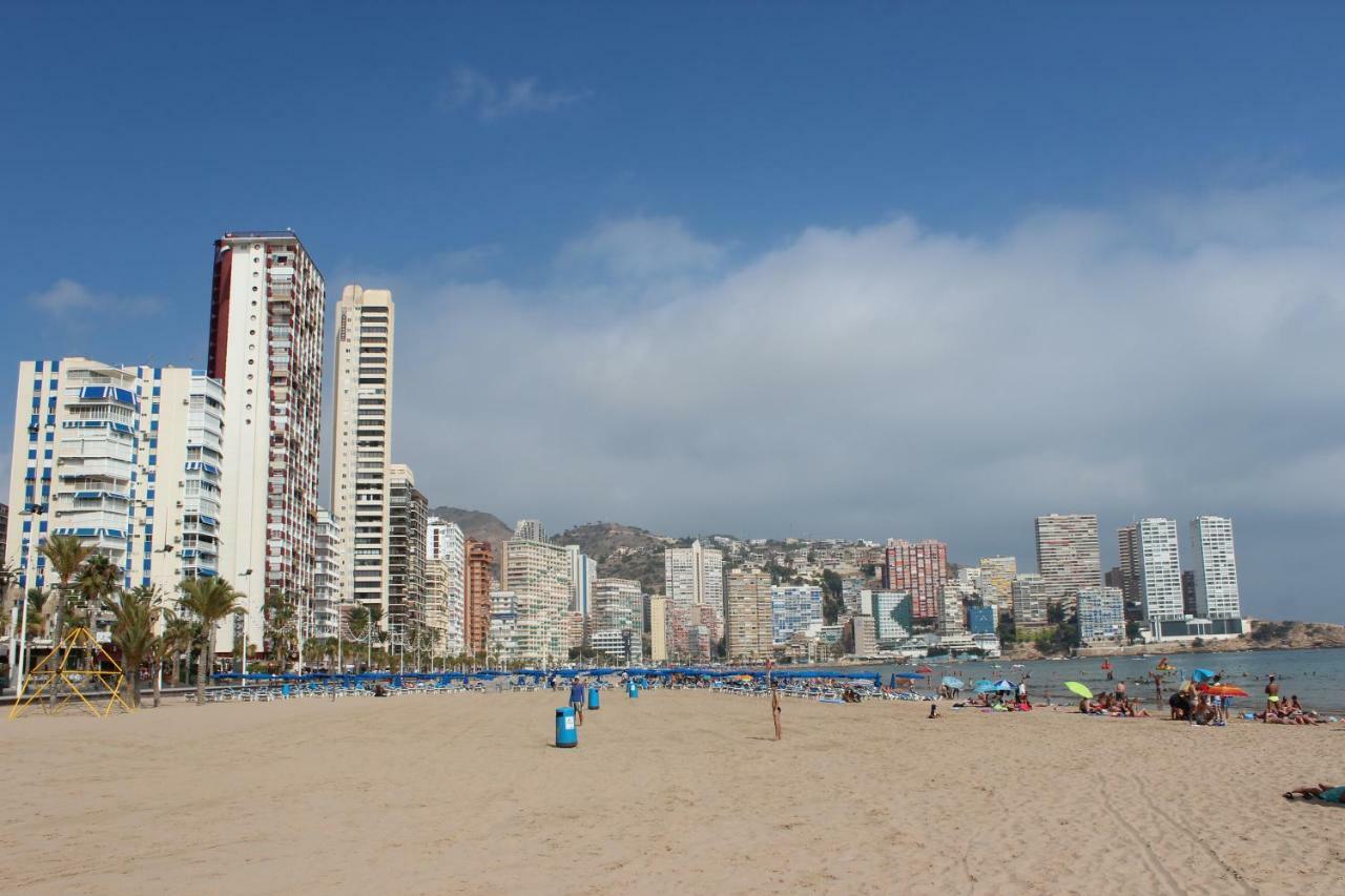 Provima Anis * Benidorm