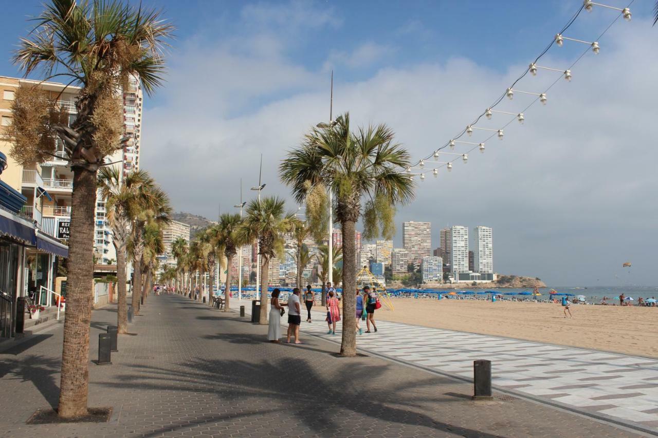 Provima Anis Benidorm