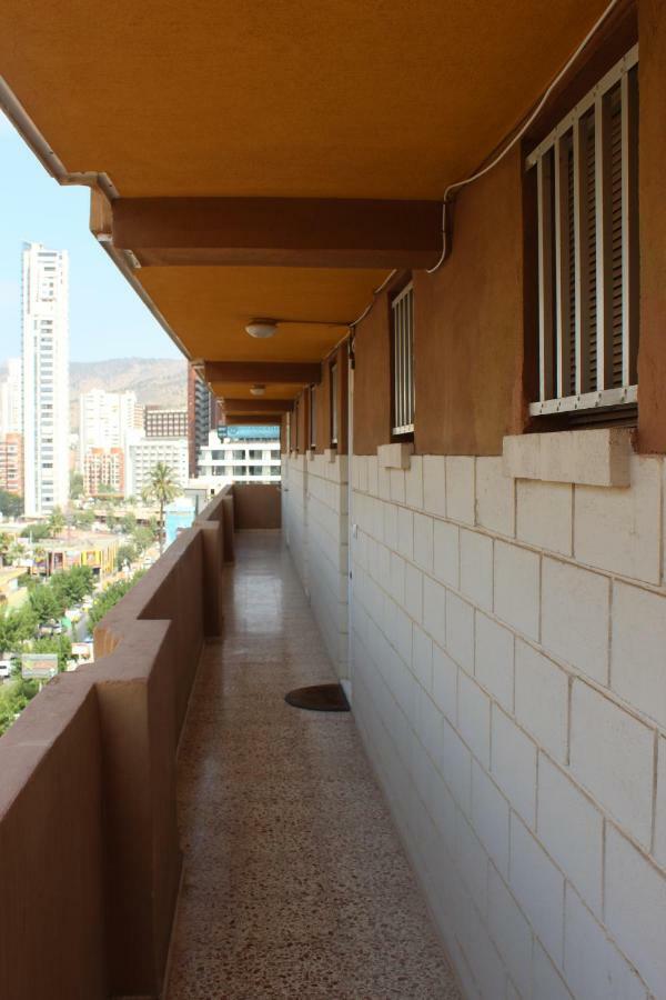 Provima Anis Benidorm