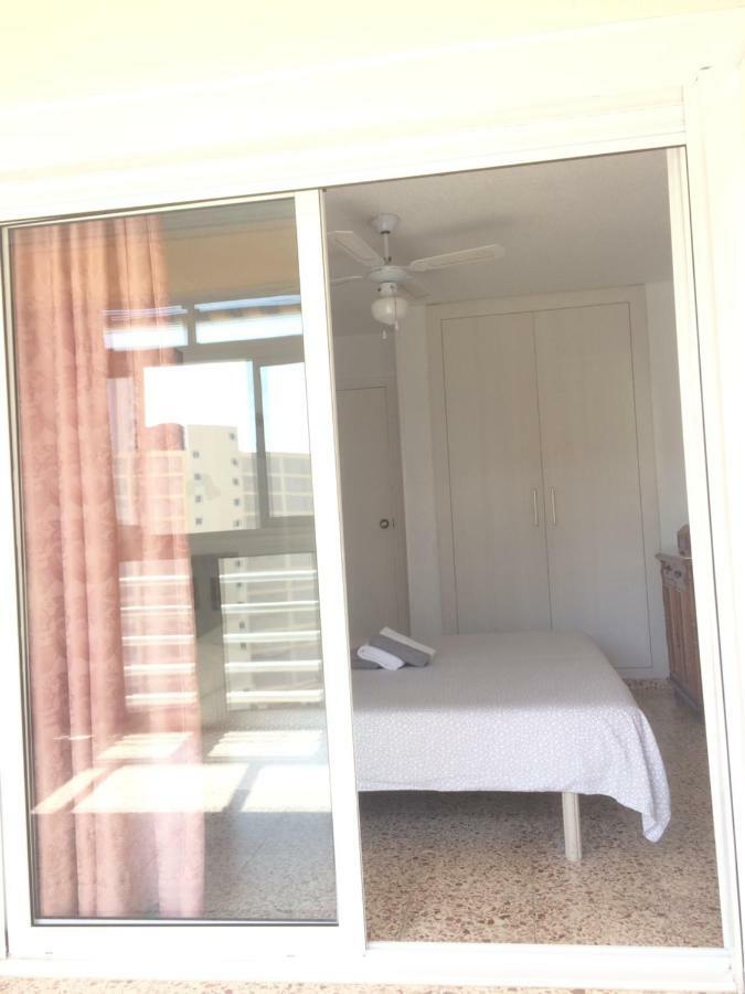 Provima Anis Benidorm